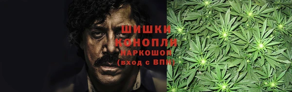 МДПВ Верхний Тагил