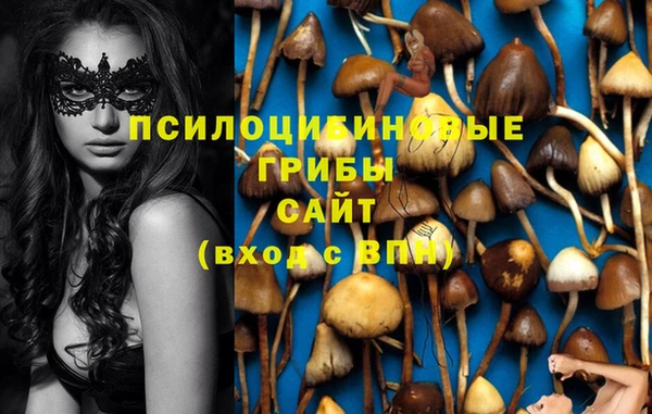 МДПВ Верхний Тагил