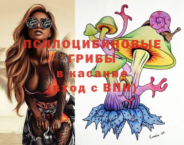 гидропоника Бронницы