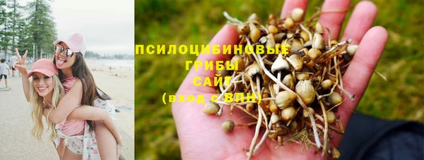 МДПВ Верхний Тагил
