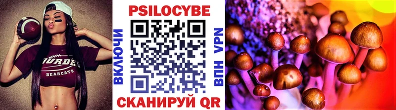 Псилоцибиновые грибы Psilocybe  Купить закладки  Лахденпохья 